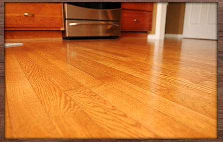 Hardwood Floors Refinishing Contractor in Springfield PA - Specialist