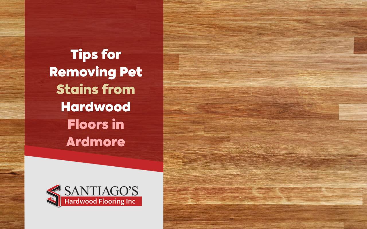 Cleaning pet stains from hardwood floors in Ardmore home